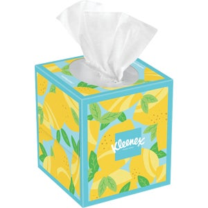 KLENX FACIAL TISSUE BOX 60CT