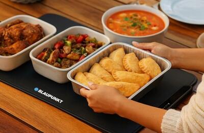 FOLDABLE FOOD WARMER
