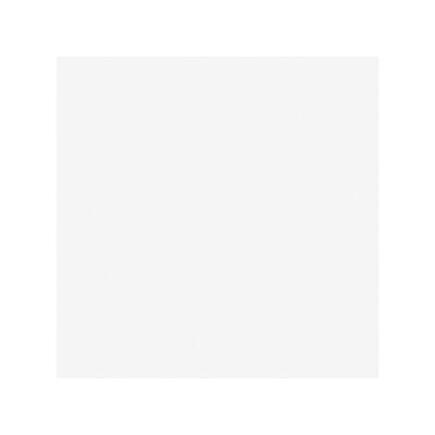 Anthem White Tile Ceramic 18x18 Inch 1 Each 12090