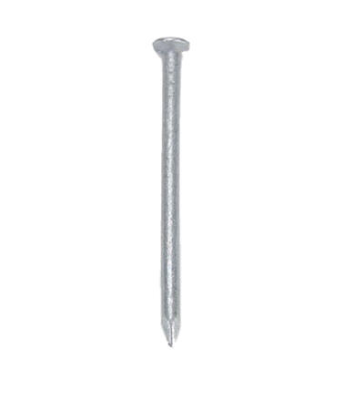Nail Common  2 Inch 1lb Box 1 Each