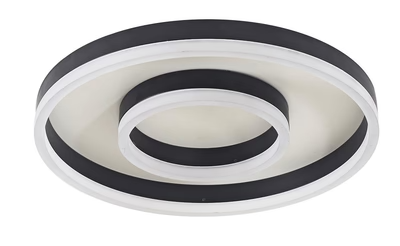 FLUSH MOUNT CEILING LIGHT