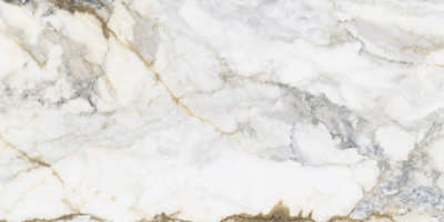 CR PISA GOLD 24X48