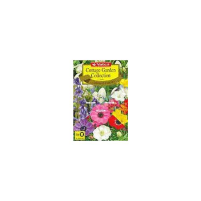  Yates Aster Crego Giant  1 Each 33777 FSA
