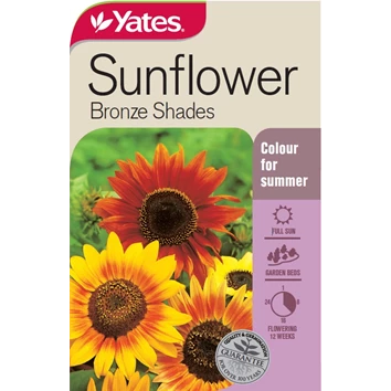 SUNFLOWER BRONZE SHADE