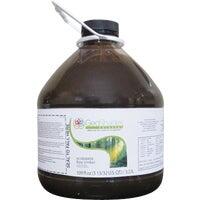  Colorant  1 Gallon  Umber  1 Each ACVB08458-PP