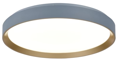 FLUSH MOUNT CEILING LIGHT 24W