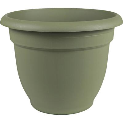 Bloem Plastic Planter 12 In Thyme Green 1 Each 20-56412