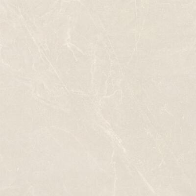 GOBI SHELL AC 24x24 DISC