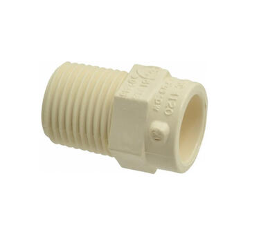  CPVC Male Adapter  1/2 Inch  1 Each 2910342
