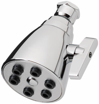  HomePointe Adjustable Shower Head 6 Spray  Chrome 1 Each 228622