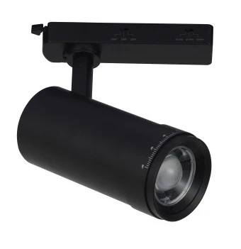 TRACK SWITCHABLE LIGHTING