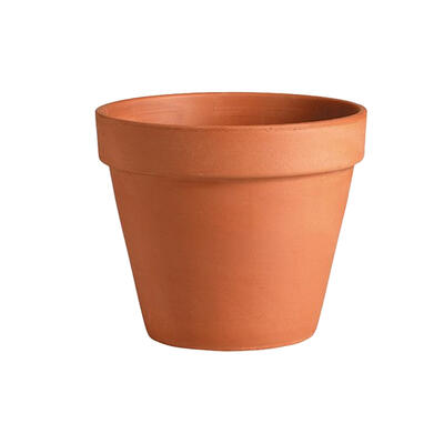 Standard Clay Pot 3 Inch Terra Cotta 1 Each 01090PZ